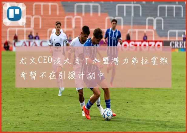 尤文CEO谈大马丁加盟潜力弗拉霍维奇暂不在引援计划中